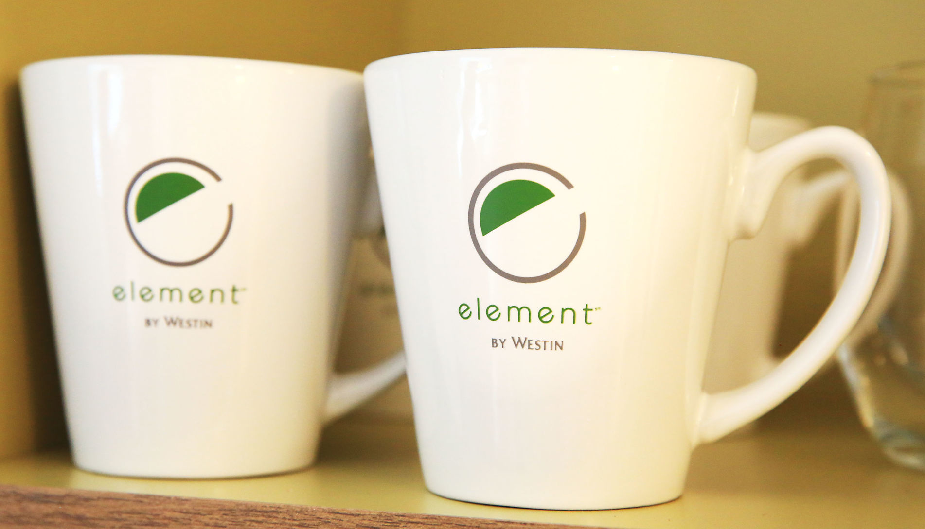 Element Moline 005